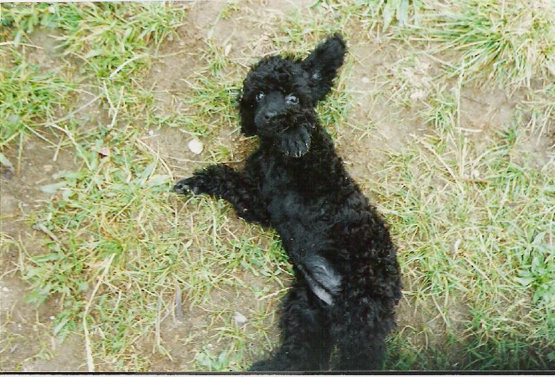 Foto: Zuzanka na zádech-,,Vrr...pojď se prát!"