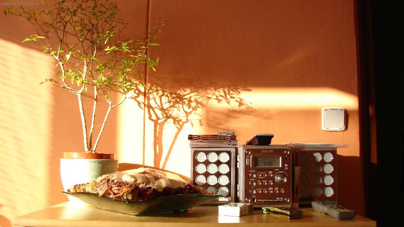 Foto: bez kytek v pokoji to prostě nejde-u kamaráda doma, že to tam má hezký