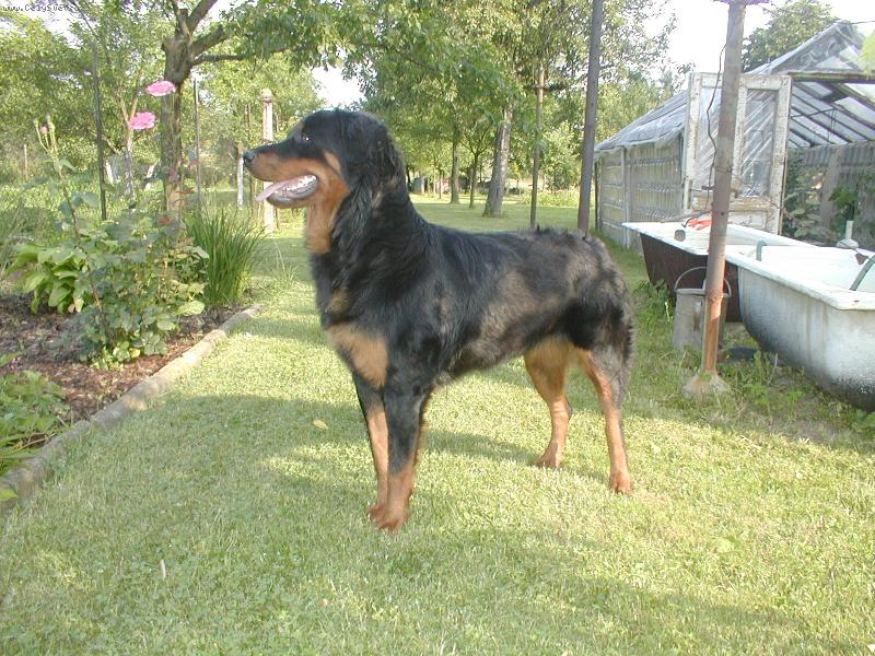 Foto: Sany-Sany - dcera Arga + Kory , jejich fotku taky posílám