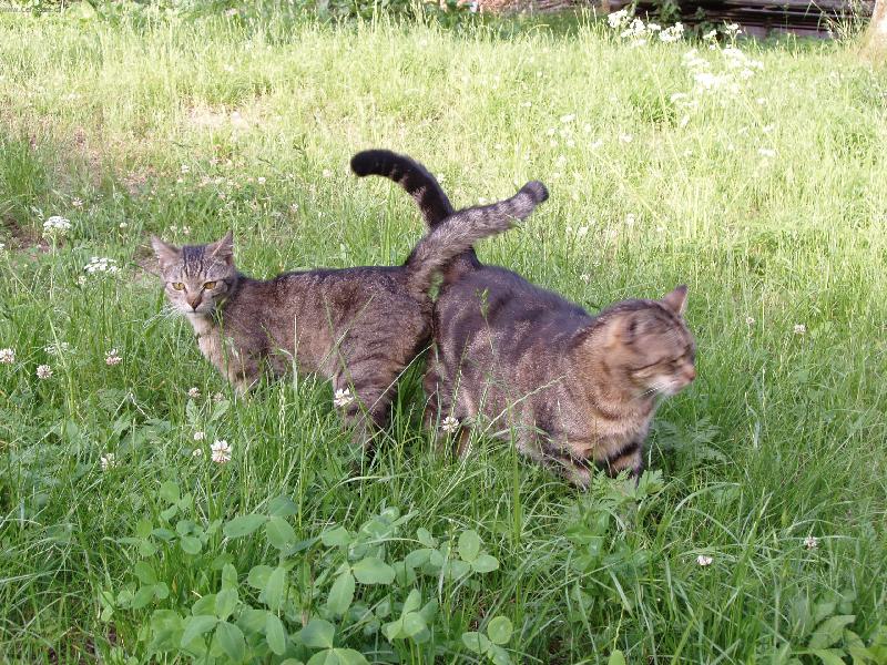 Foto: Maminka se synem-Poznávání zahrady Stařenka a Moureček
