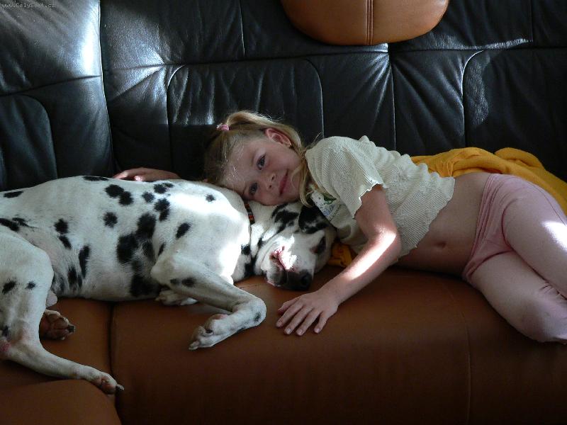 Foto: harmonie-souznění dítěte a psa