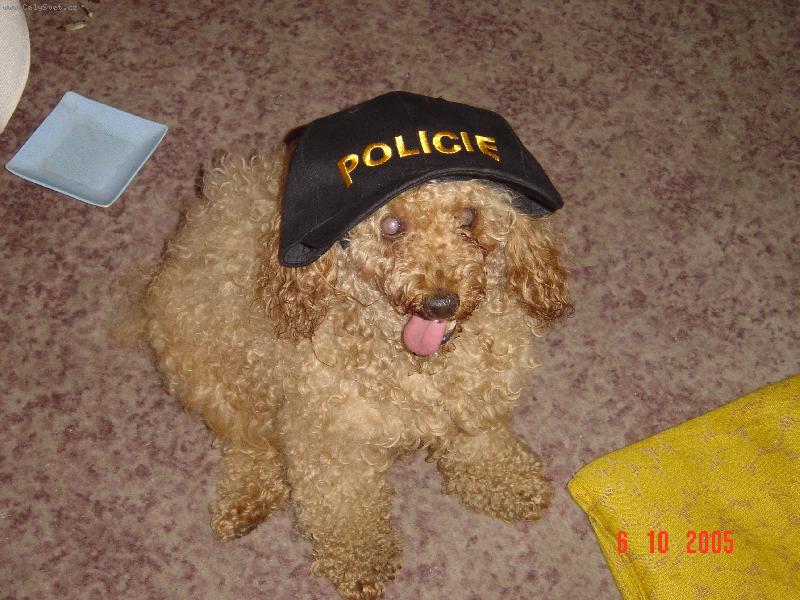 Foto: Beník ve službě-"Zloději,třeste se!"