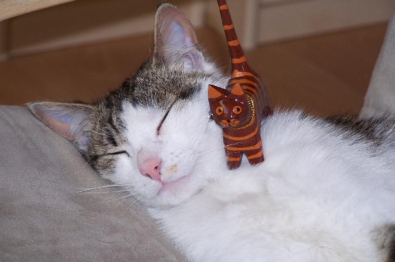 Foto: A fajně mi je...-a fajne mi je...