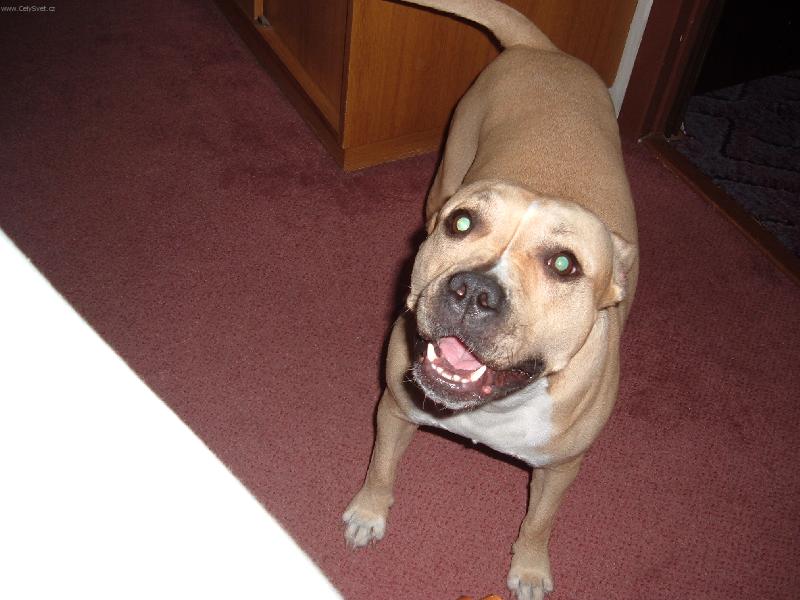 Foto: RAKŠA-Usměv prosím