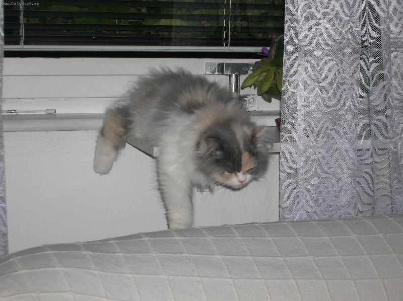 Foto: Čikitka-tak malá a táák znavená :)