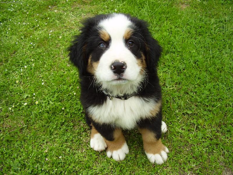 Foto: Fredy-Naše nej ....