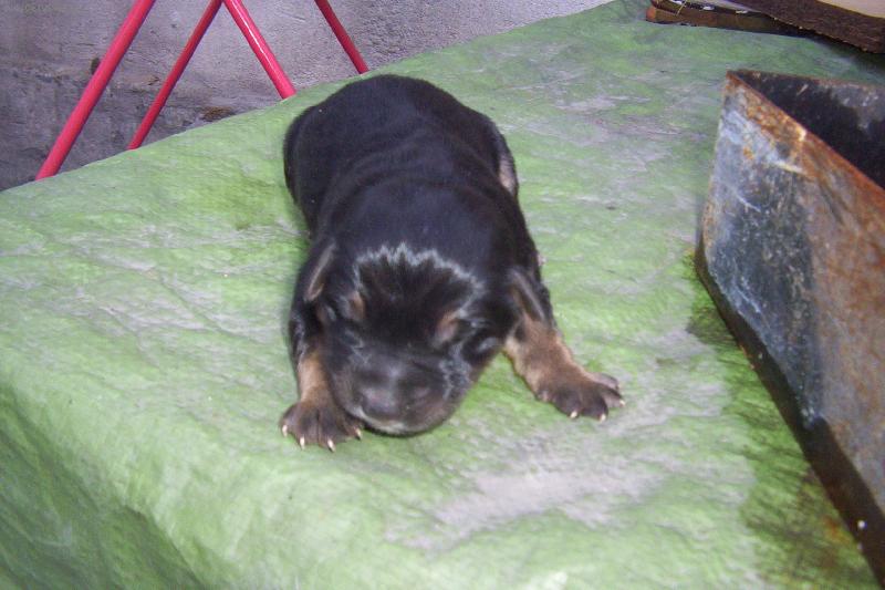 Foto: čerstvě narozené...