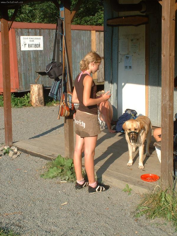 Foto: Bady s náhubkem ...-Jako kdyby říkal: " Jak si mi to molha udělat ... "