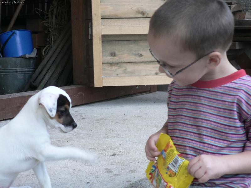 Foto: FATTY HOP TROP-Honzíku tyhle bonbóny jsou opravdu fakt dobrý