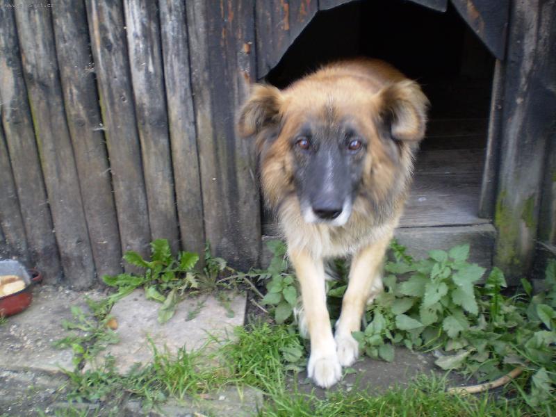 Foto: Dasty-Hrozně nerad se fotím!!!