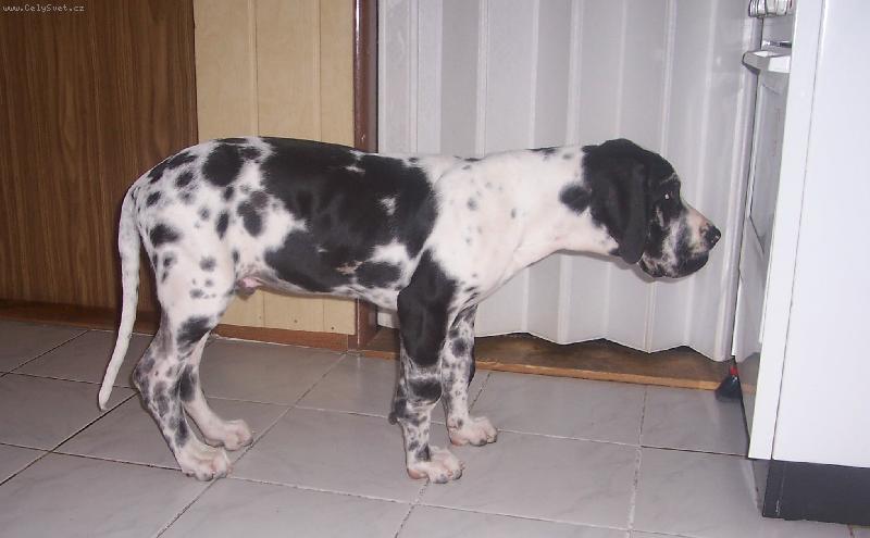 Foto: Také se tam vejdu?