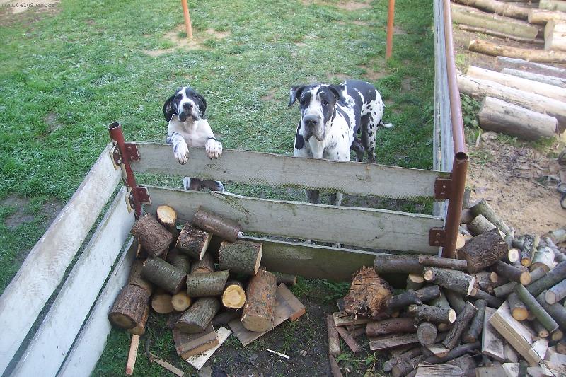 Foto: Dva žebráci pod oknem