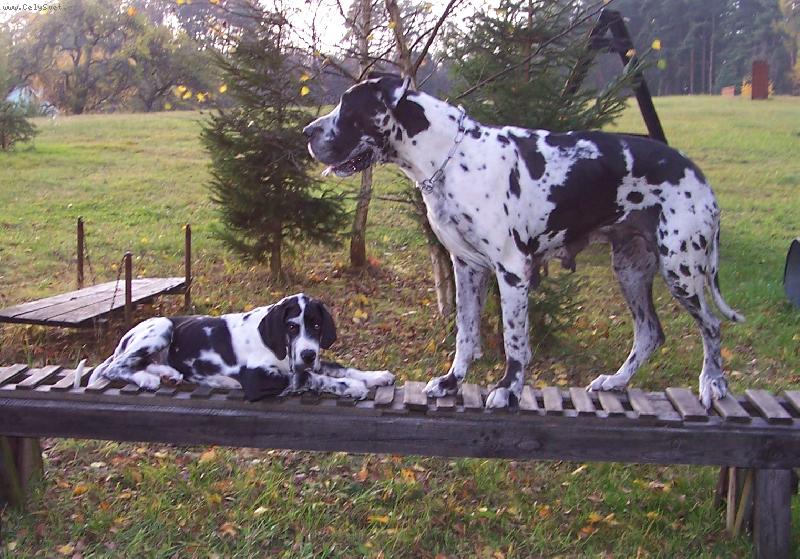 Foto: Malý a velká