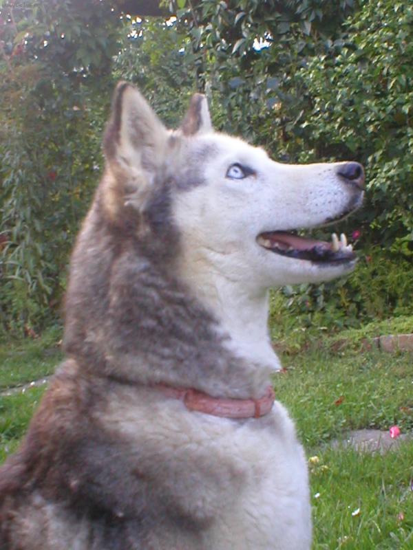 Foto: Elsička-Naše princeznička