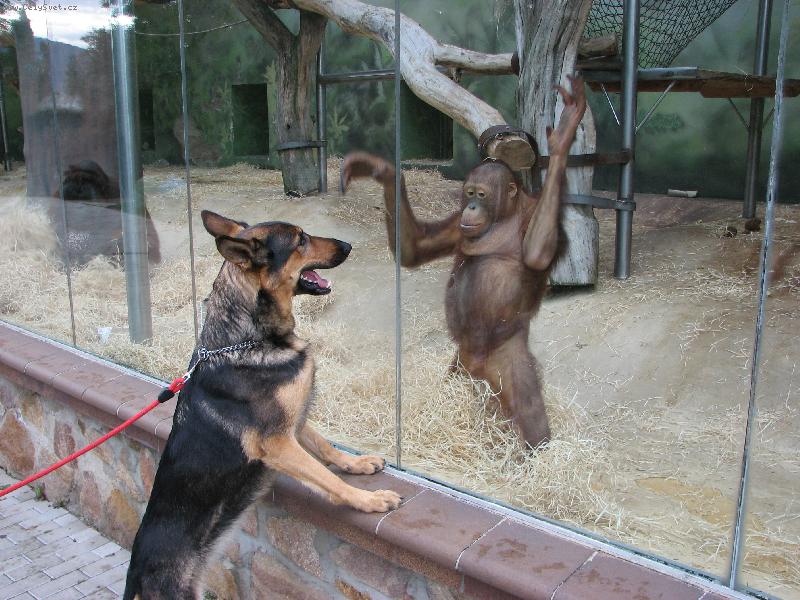 Foto: Bonita-Kdo z nás je větší?