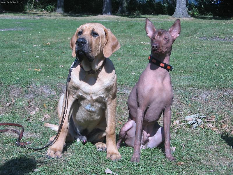 Foto: Herodesek a Jedík-Kterému z nás je 5 měsíců???