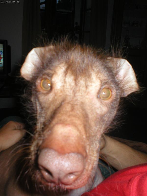 Foto: To jsem xichtík:)