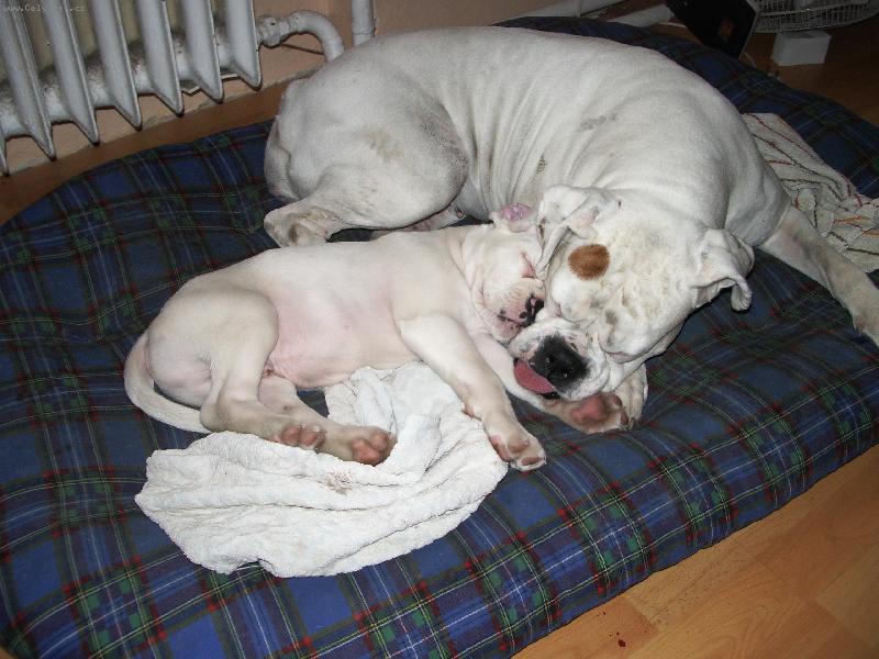 Foto: Jeden pelíšek stačí...