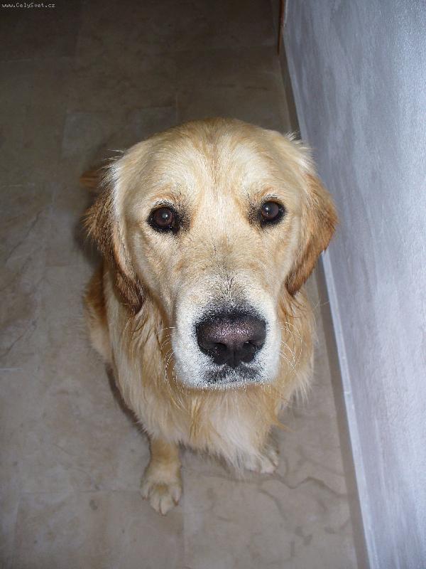 Foto: Co ten pohled?-Bádinek