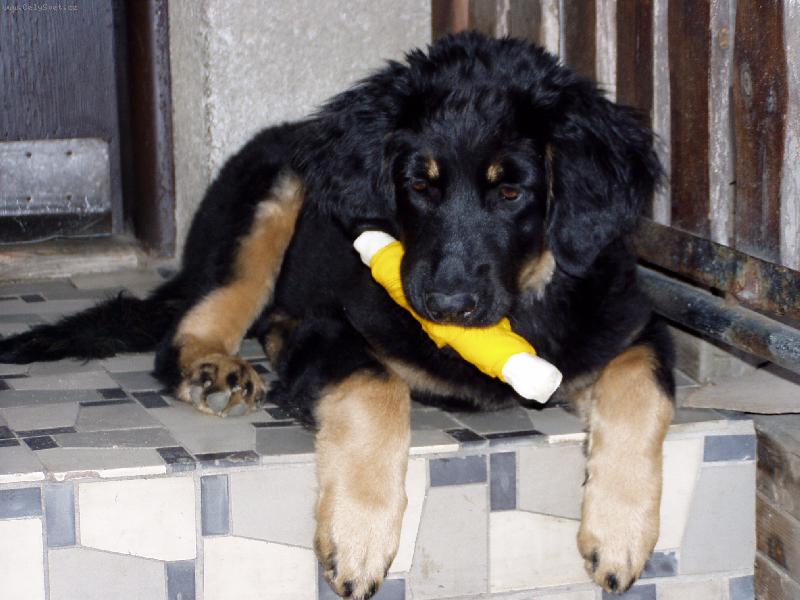 Foto: Nerušit, jím.-Barunka.