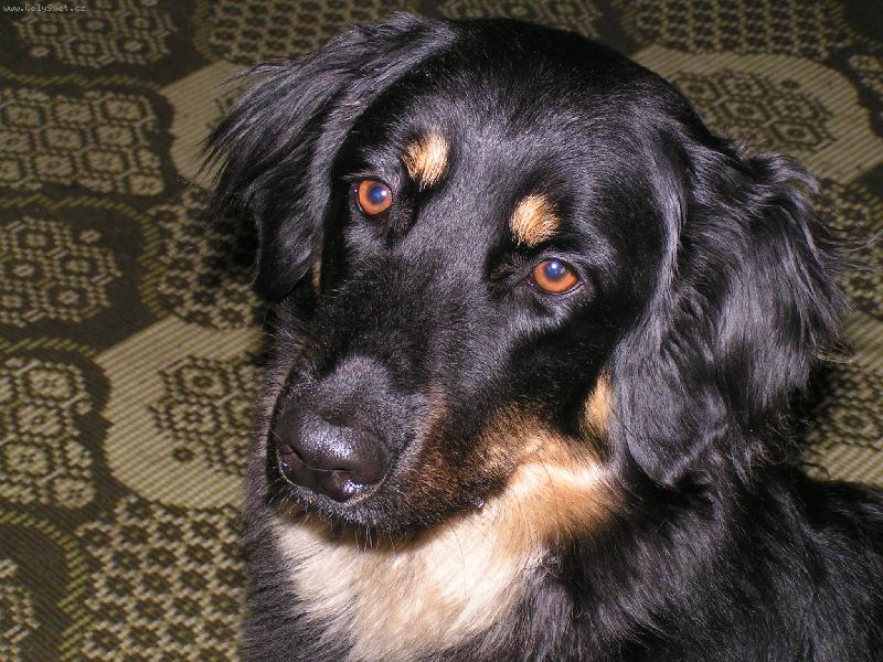 Foto: Jako na občanku.-Bára