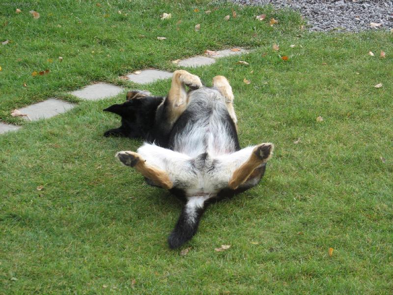 Foto: Ještě, kdyby mě tak někdo přišel podrbat