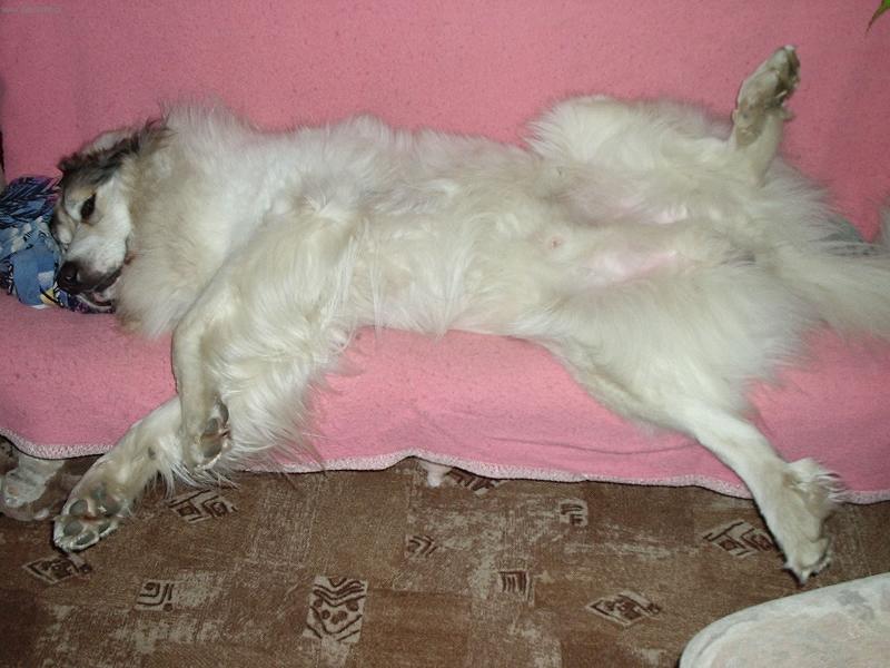 Foto: jsem spokojený