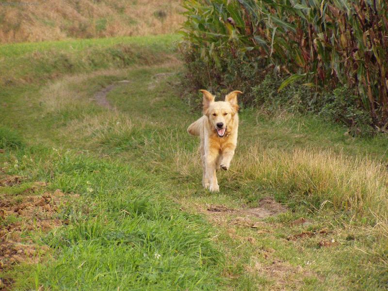 Foto: už letííím