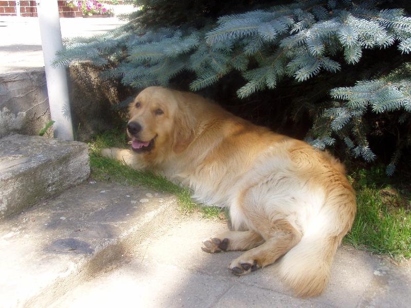 Foto: ...no ale byla to dřina