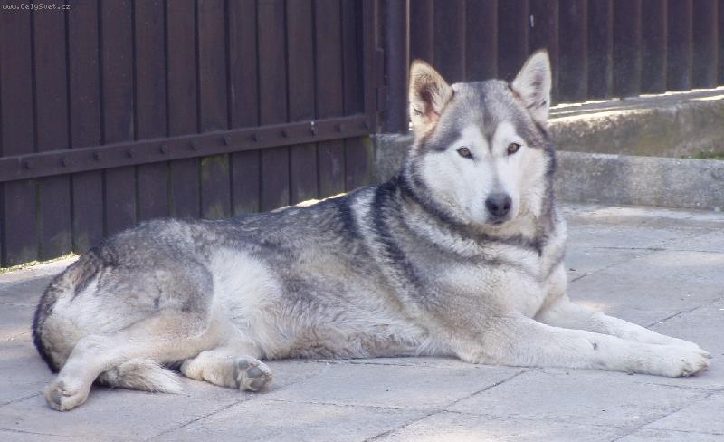 Foto: všechno to mám pod kontrolou, a kdyby něco tak....