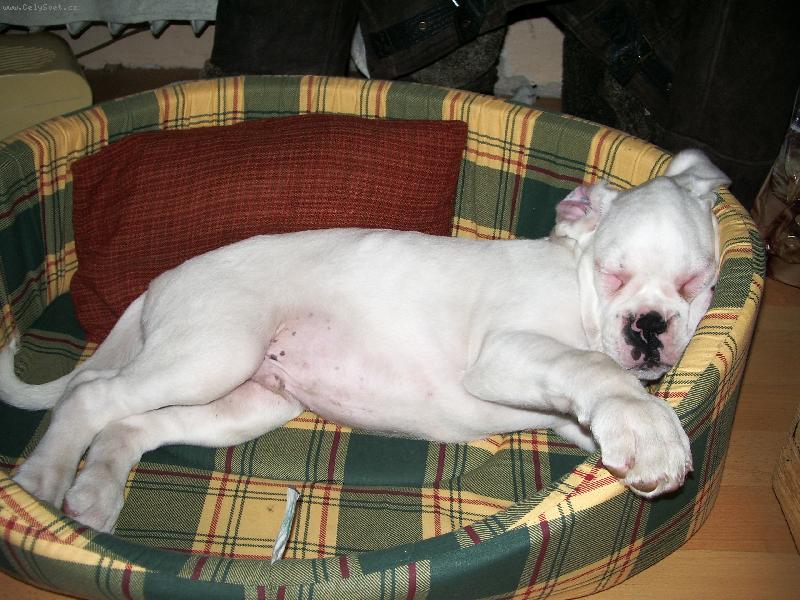 Foto: Můj nový kamarád