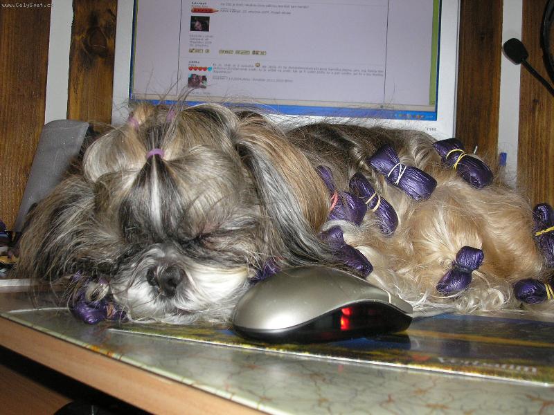 Foto: Tobynko-Dobrú noc