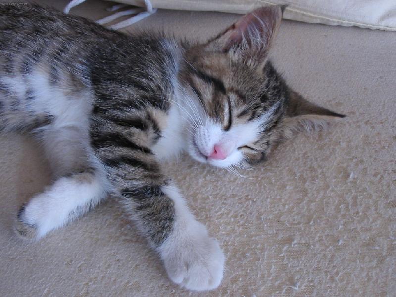 Foto: Naše malá Elis-Hají...