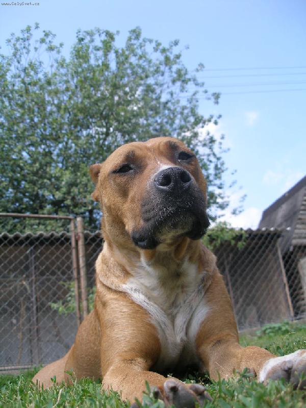 Foto: pohled-...zamilovaný pohled...