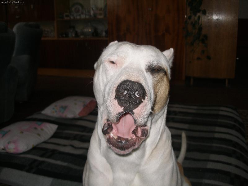 Foto: únava-unava je tu