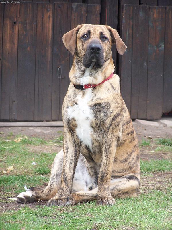 Foto: FIDEL-Už jsem velkej chlap