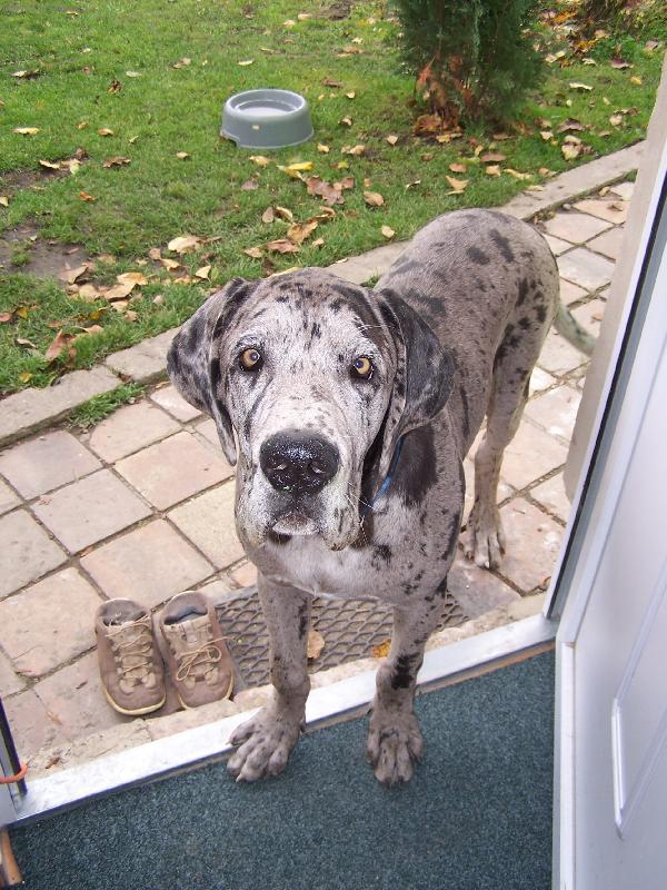 Foto: IGOREK-Dáte mi něco k jídlu???