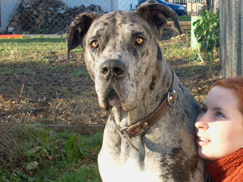 Foto: Nuflík-Kdyby se to dalo vrátit