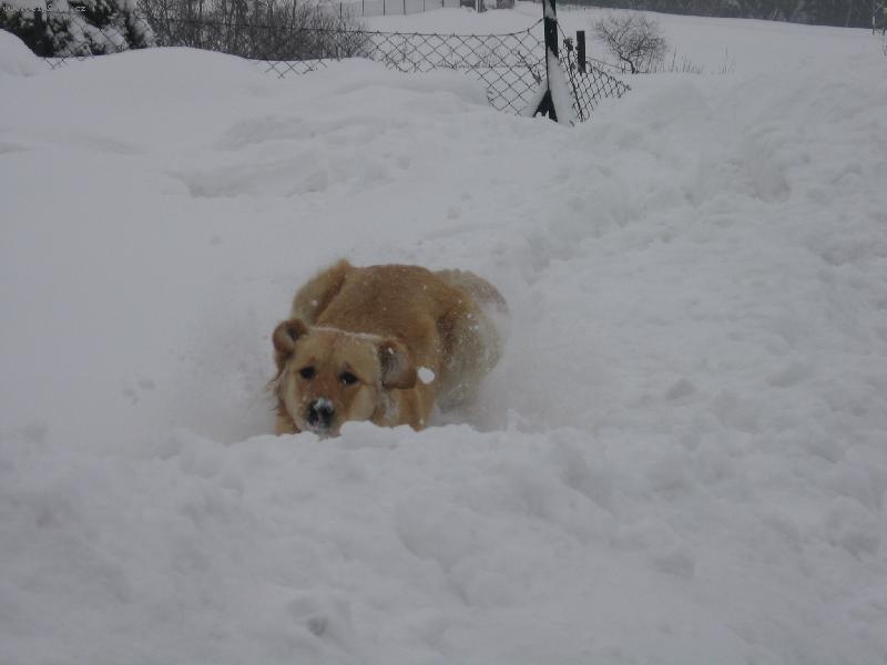 Foto: a zase bude zima-to bude super