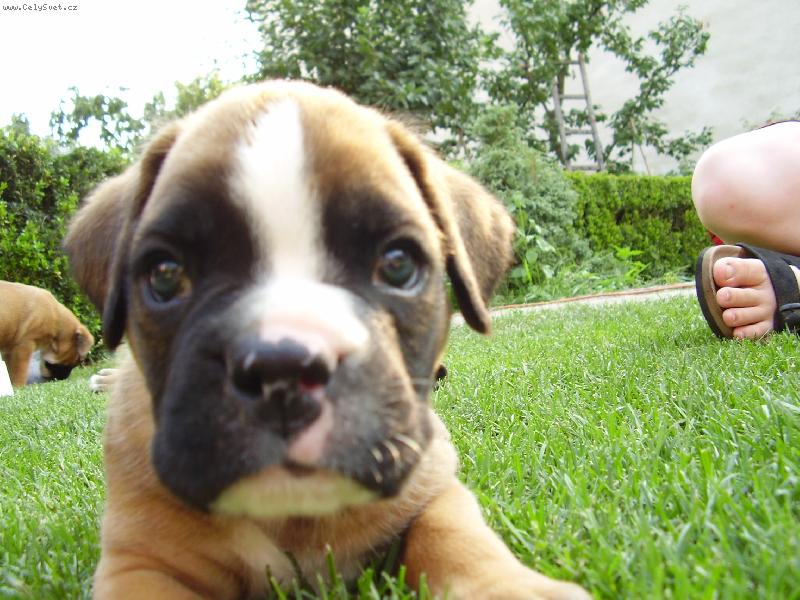 Foto: Tak ja ti teda zapozuju...