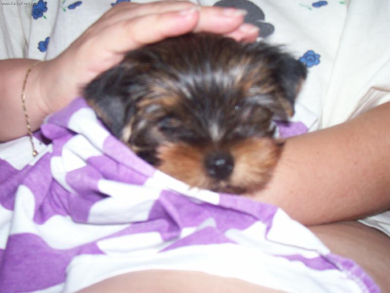 Foto: Tomíšek-to mi byly dva měsíce