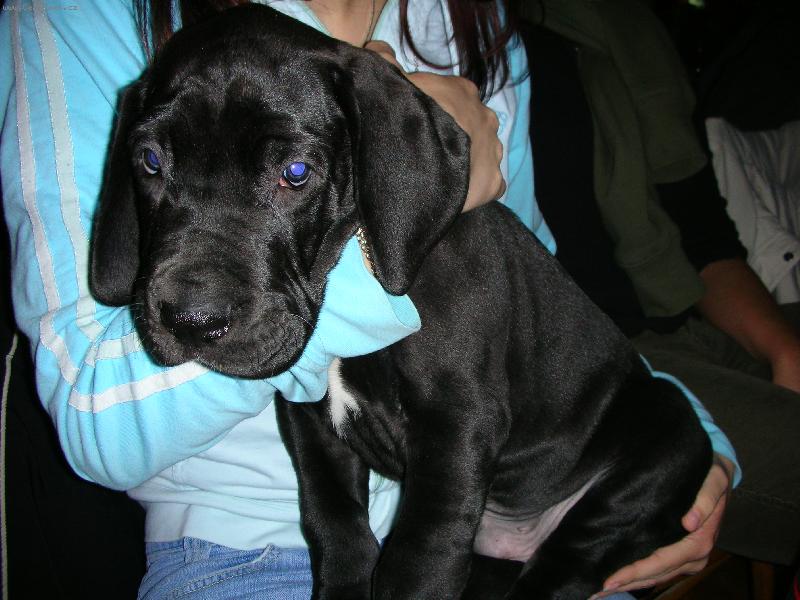 Foto: Já chci zpátky k mámě!