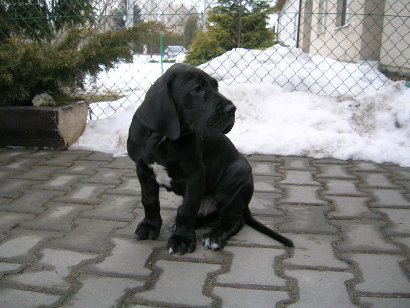 Foto: Tady teď budu bydlet?-1. den doma