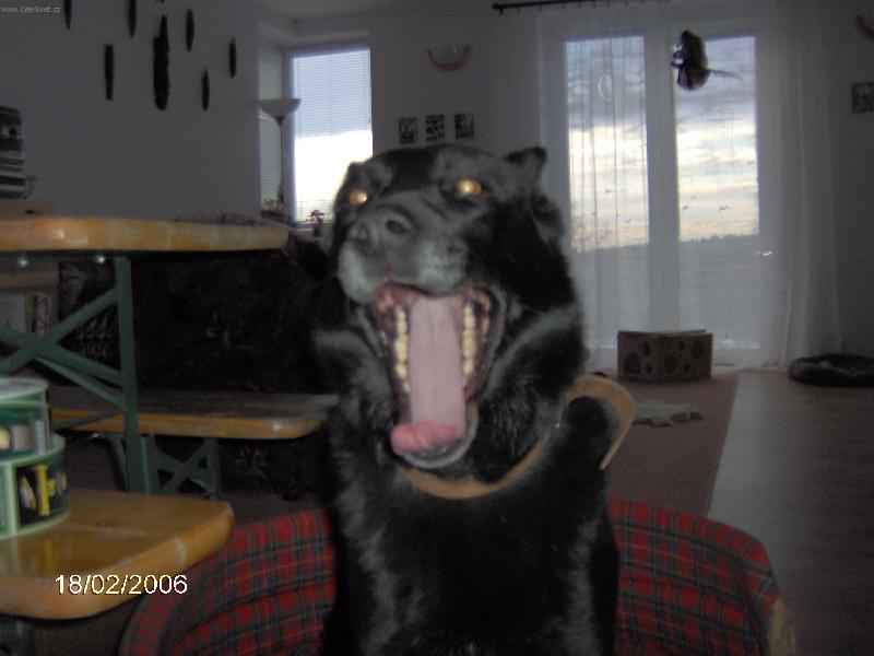 Foto: Aisha-To je nuda