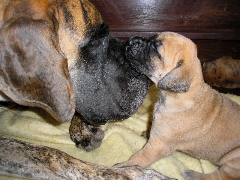 Foto: U mámy je nejlíp:o)