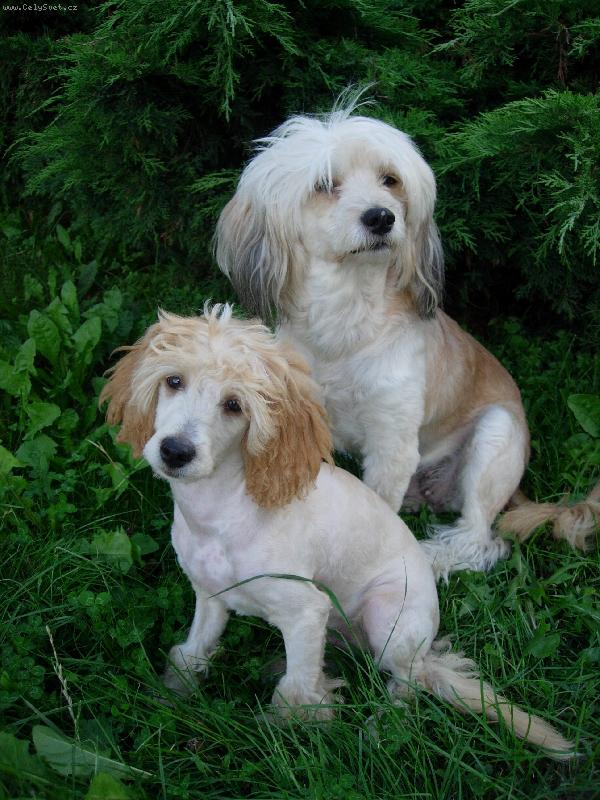 Foto: máma a syn-Danuška a Matýsek při pózování