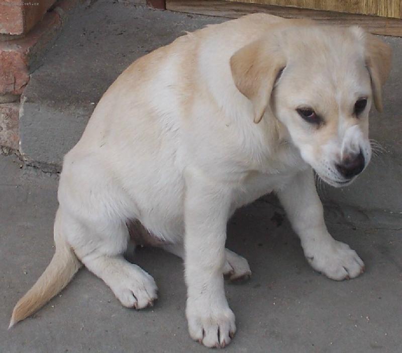 Foto: Vrrr!!!!!-Umím se pořádně rozzlobit!