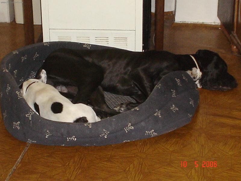 Foto: Odpolední siesta