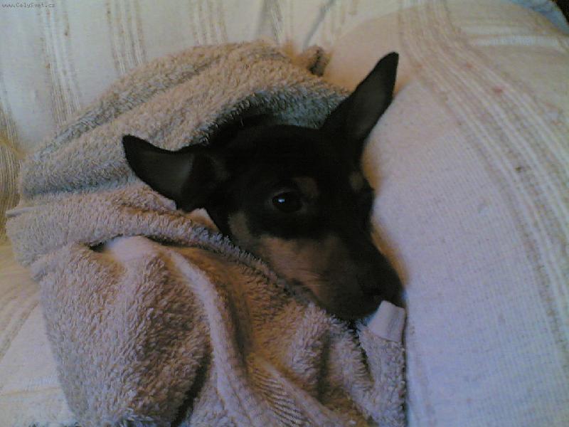 Foto: ..už se nechci koupat...