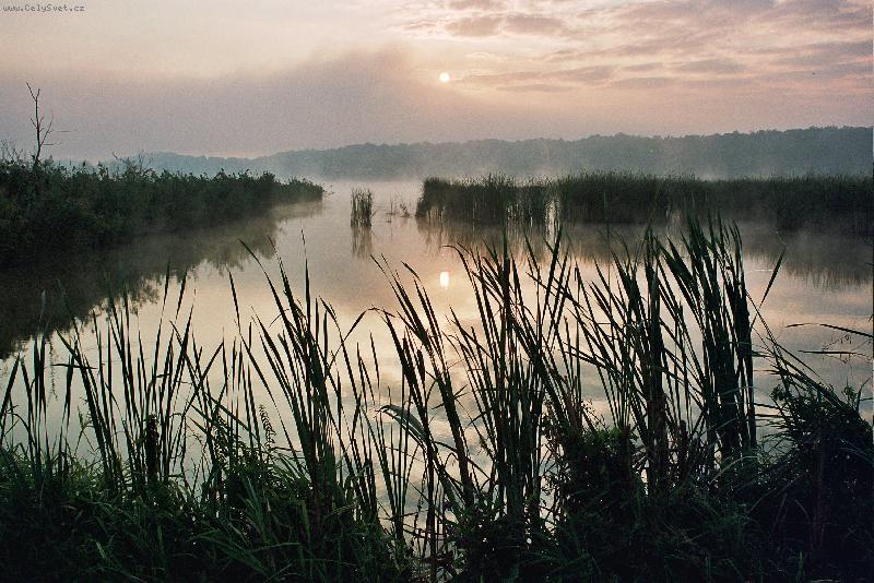 Foto: Mlhavé svítání v Poodří